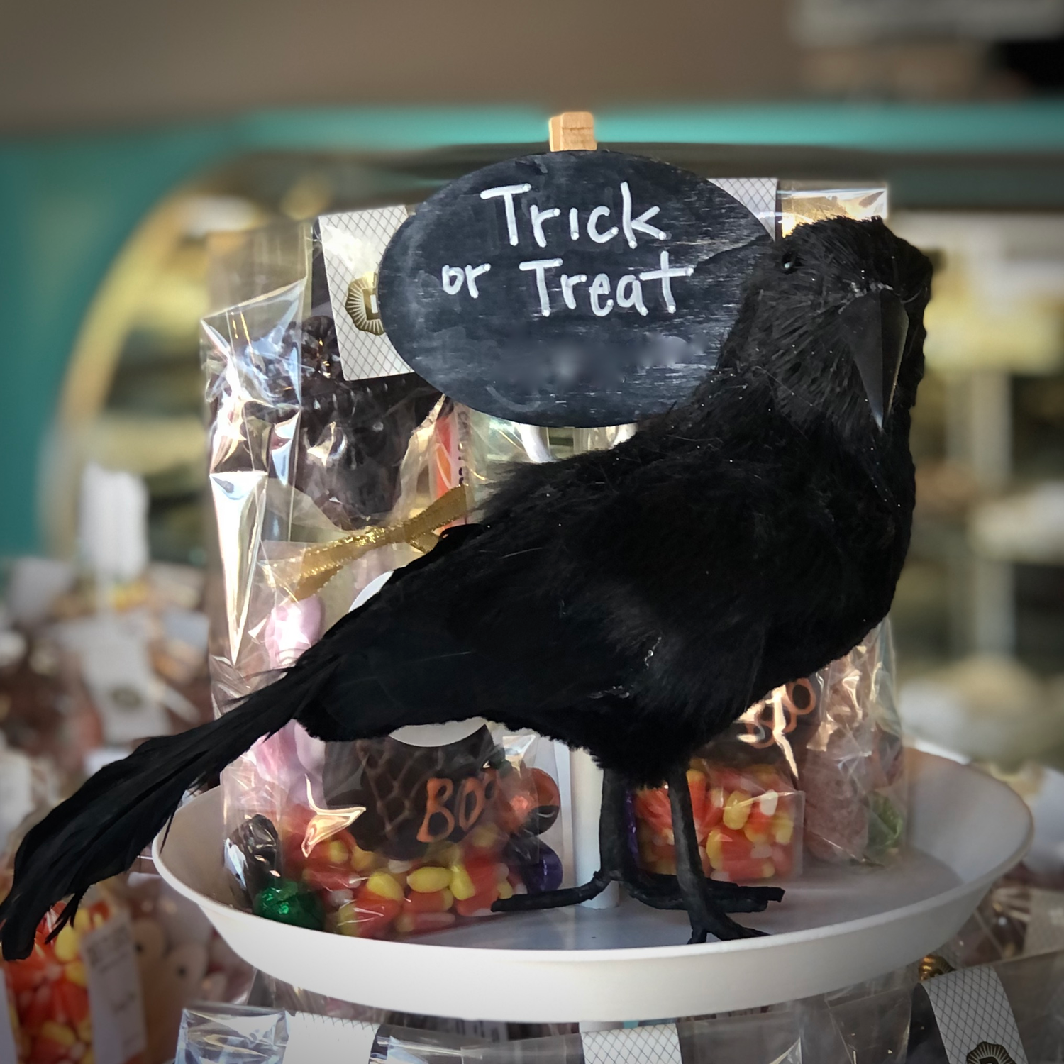 Decorative black crow with Trick or Treat sign