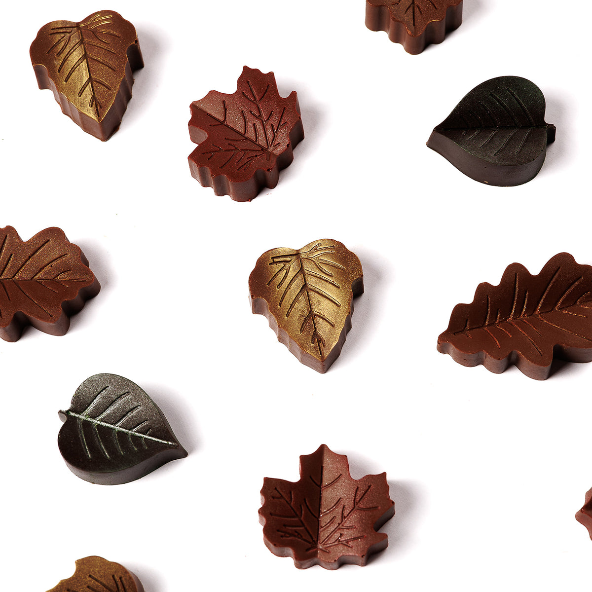 Fall Leaves